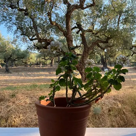 Appartamento Zoi Méson Yerakaríon